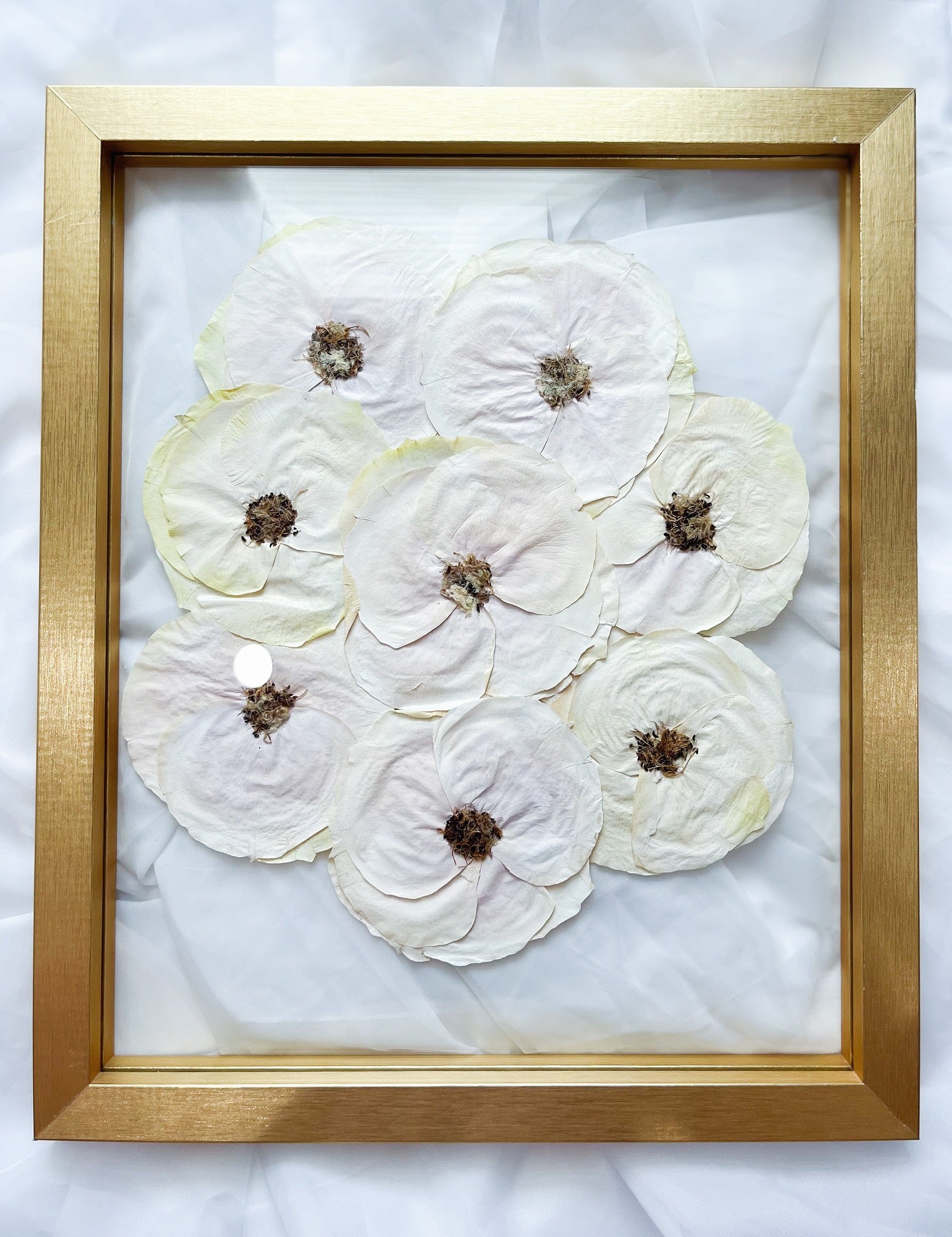 Gold Wood Pressed Flower Frame