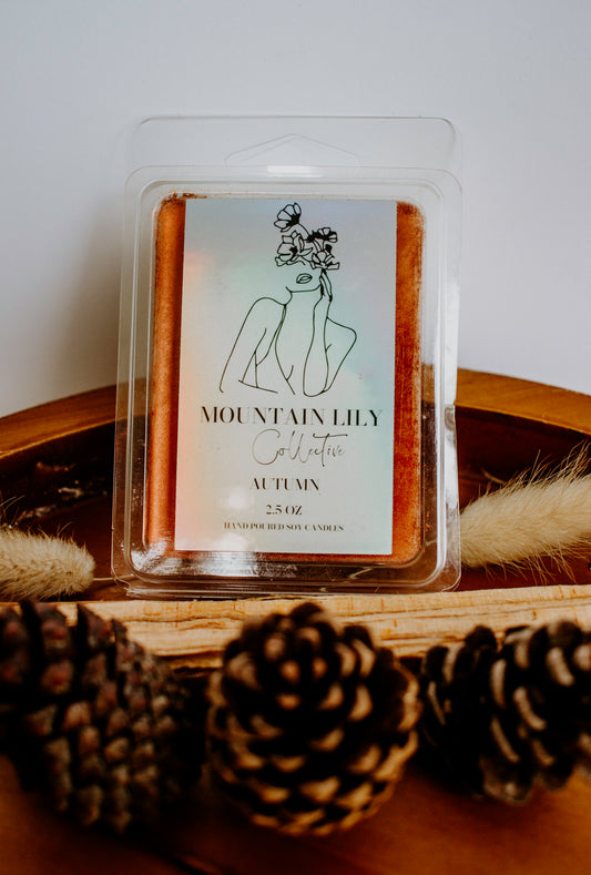 Fall Wax Melts